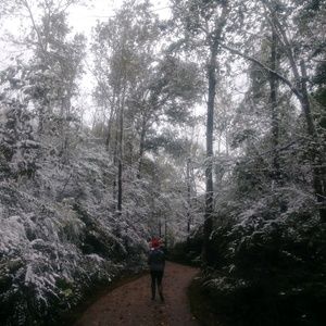 Meet your Posher, Griselda